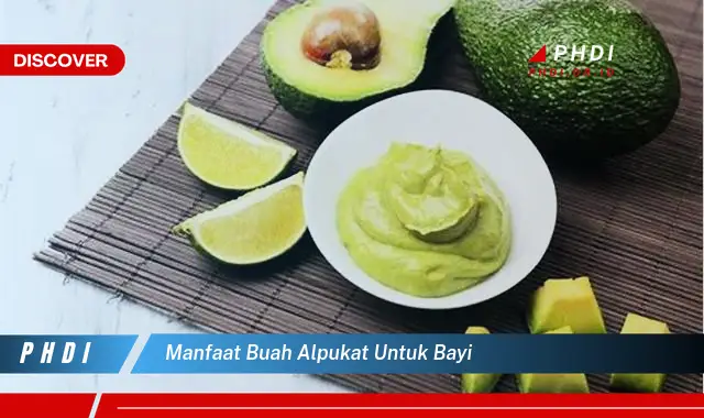 manfaat buah alpukat untuk bayi