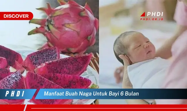 manfaat buah naga untuk bayi 6 bulan