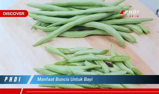 manfaat buncis untuk bayi