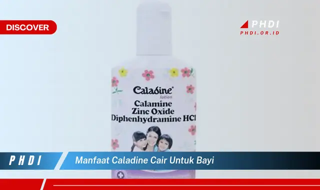 manfaat caladine cair untuk bayi