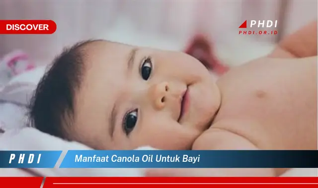 Temukan 7 Manfaat Canola Oil untuk Bayi yang Bikin Kamu Penasaran