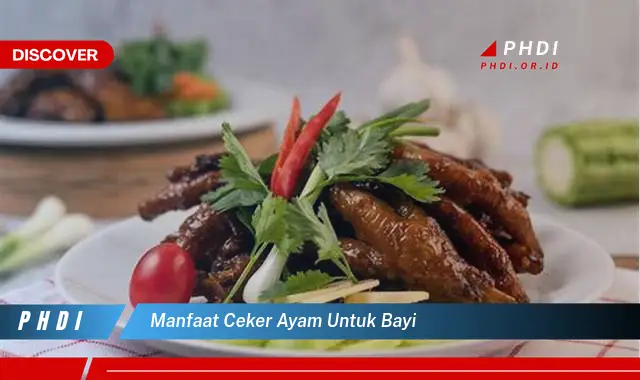 manfaat ceker ayam untuk bayi