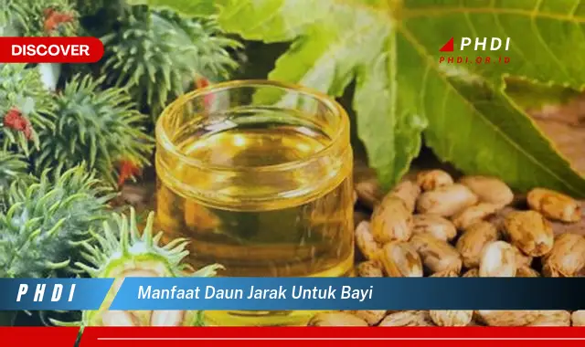 manfaat daun jarak untuk bayi