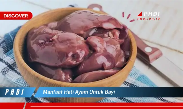 manfaat hati ayam untuk bayi