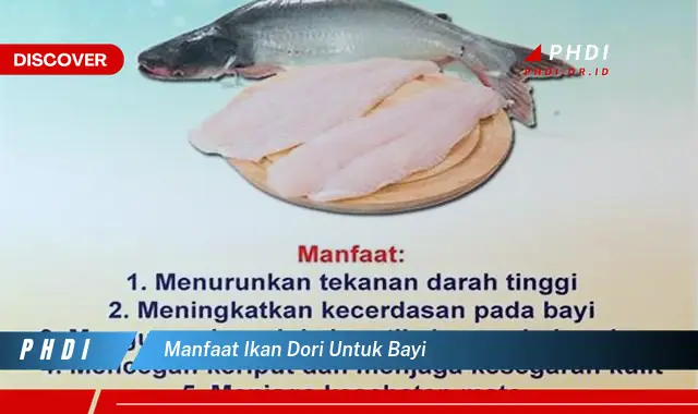 manfaat ikan dori untuk bayi