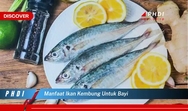 manfaat ikan kembung untuk bayi