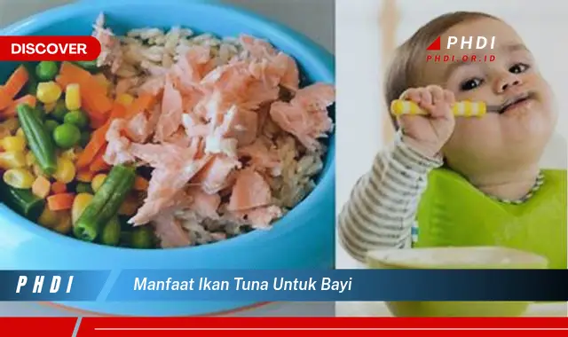 manfaat ikan tuna untuk bayi