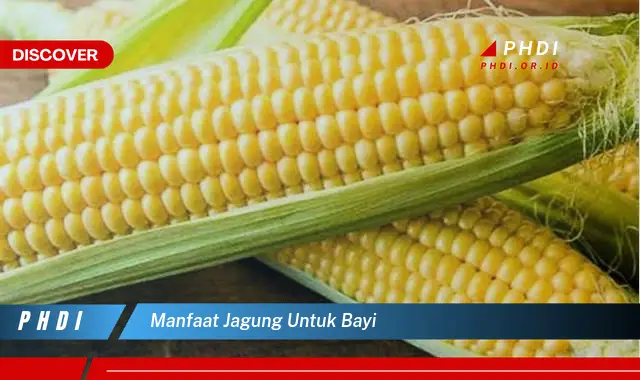 manfaat jagung untuk bayi