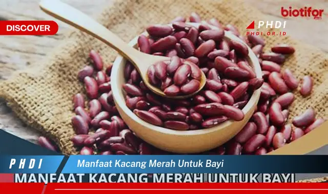 manfaat kacang merah untuk bayi