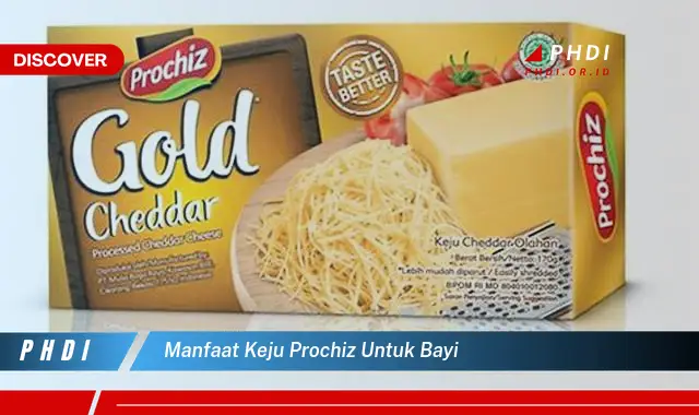 manfaat keju prochiz untuk bayi