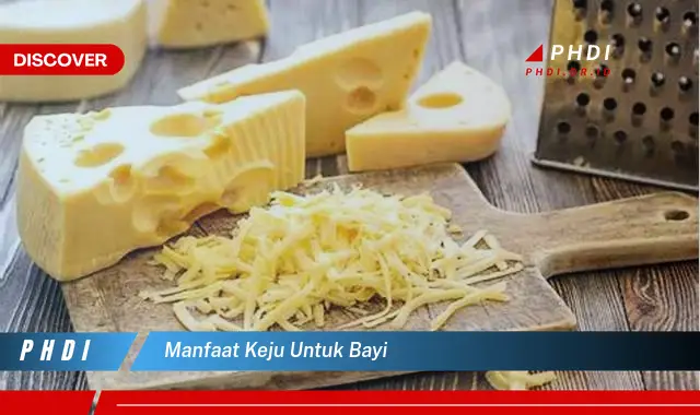 manfaat keju untuk bayi