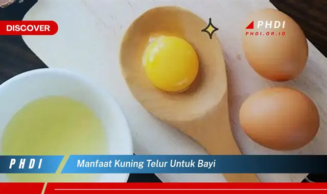 manfaat kuning telur untuk bayi