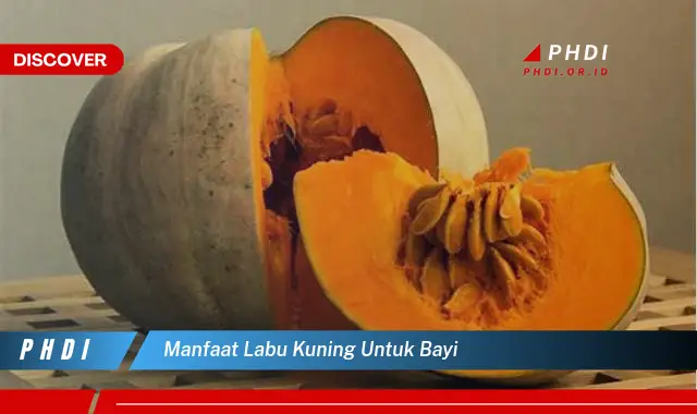 manfaat labu kuning untuk bayi