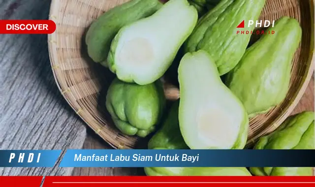 manfaat labu siam untuk bayi