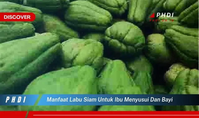 manfaat labu siam untuk ibu menyusui dan bayi