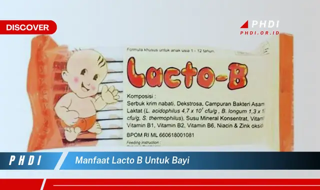 manfaat lacto b untuk bayi