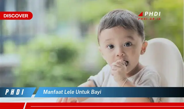 manfaat lele untuk bayi