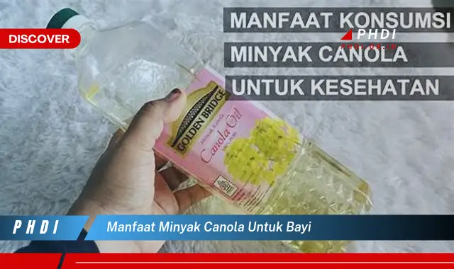 manfaat minyak canola untuk bayi