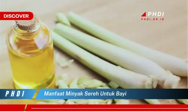 manfaat minyak sereh untuk bayi