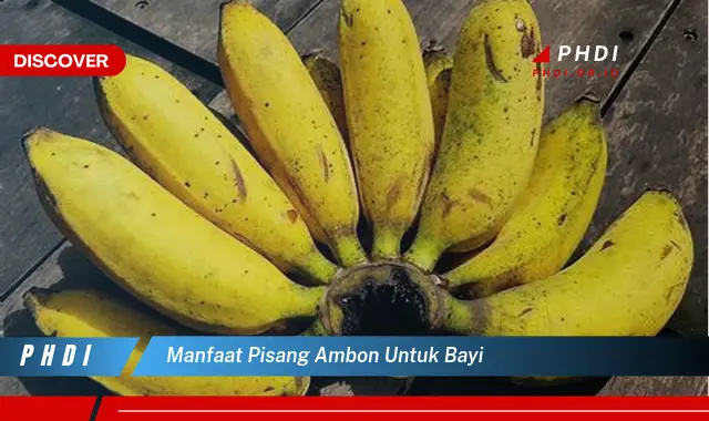 manfaat pisang ambon untuk bayi