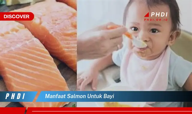 Ketahui Manfaat Salmon Untuk Bayi yang Jarang Diketahui
