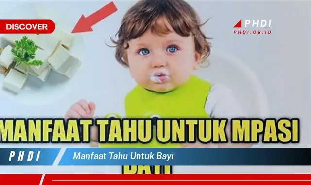 manfaat tahu untuk bayi