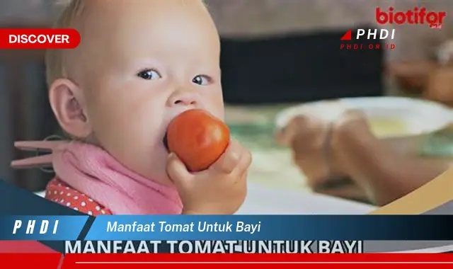 manfaat tomat untuk bayi