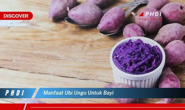 manfaat ubi ungu untuk bayi