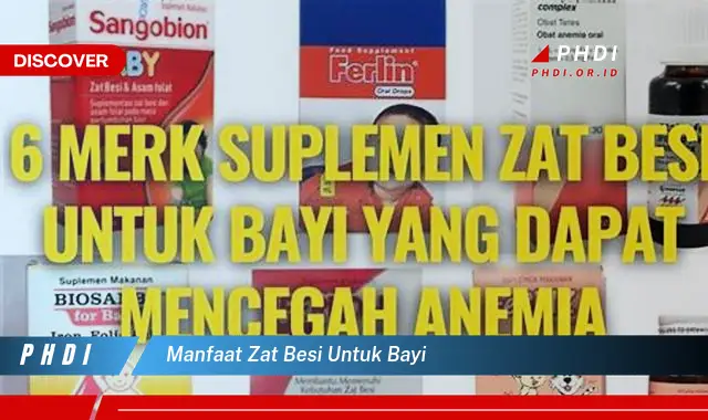 manfaat zat besi untuk bayi