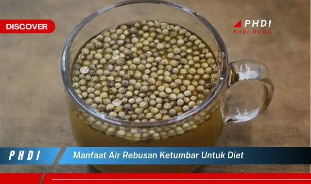 manfaat air rebusan ketumbar untuk diet