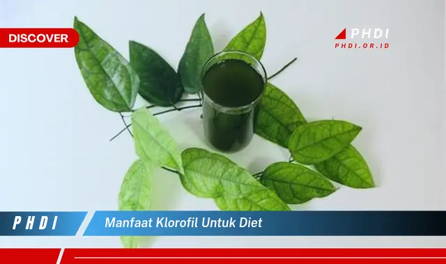 manfaat klorofil untuk diet