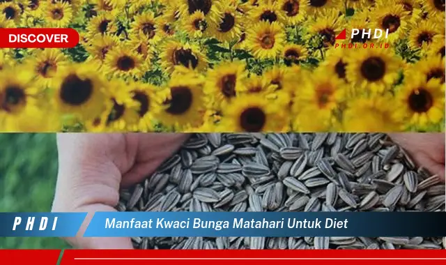 manfaat kwaci bunga matahari untuk diet