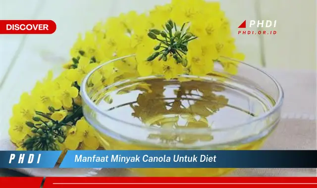 manfaat minyak canola untuk diet