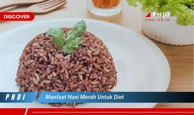 manfaat nasi merah untuk diet