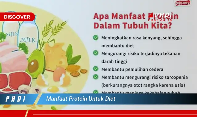 manfaat protein untuk diet