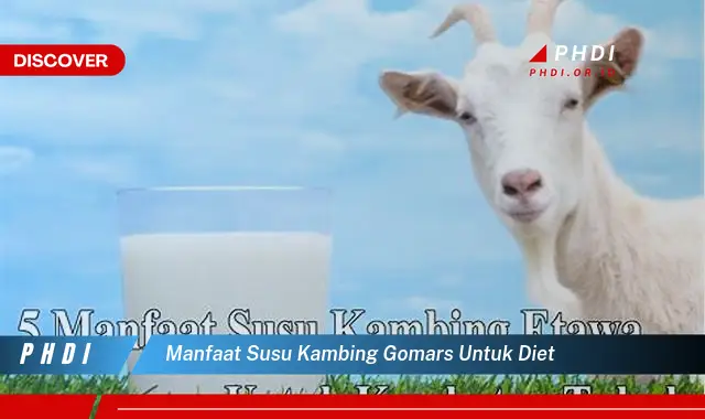 manfaat susu kambing gomars untuk diet