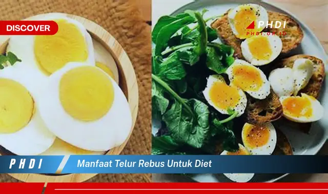 manfaat telur rebus untuk diet