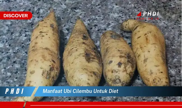 manfaat ubi cilembu untuk diet