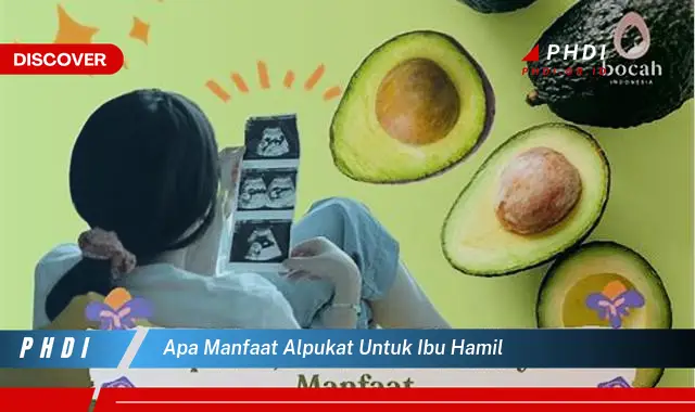 apa manfaat alpukat untuk ibu hamil