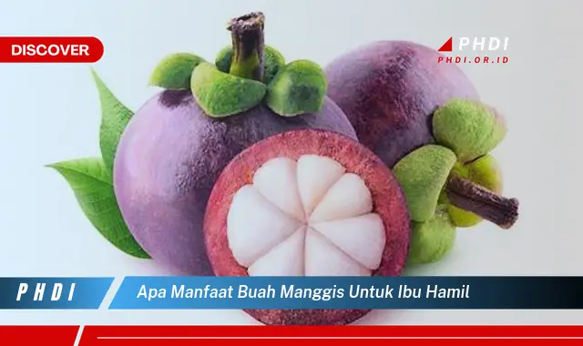 apa manfaat buah manggis untuk ibu hamil