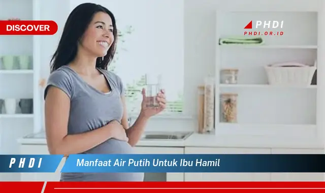 manfaat air putih untuk ibu hamil