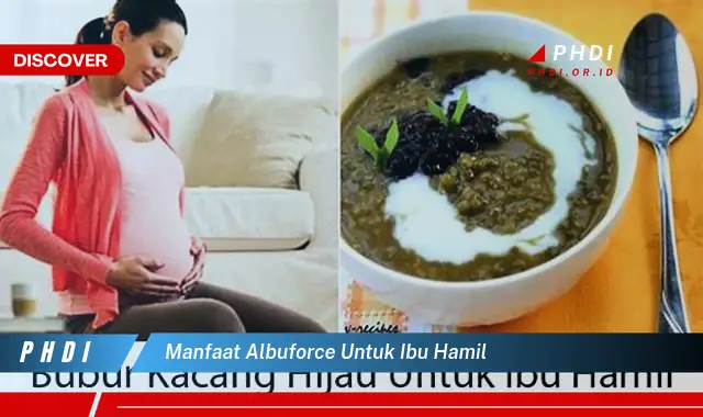 manfaat albuforce untuk ibu hamil