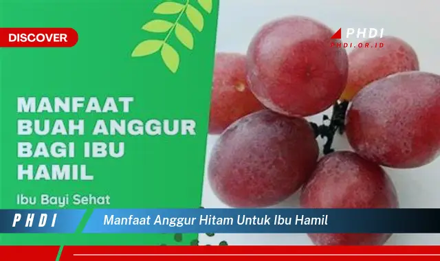 manfaat anggur hitam untuk ibu hamil