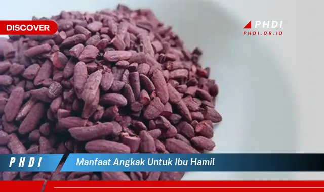 manfaat angkak untuk ibu hamil