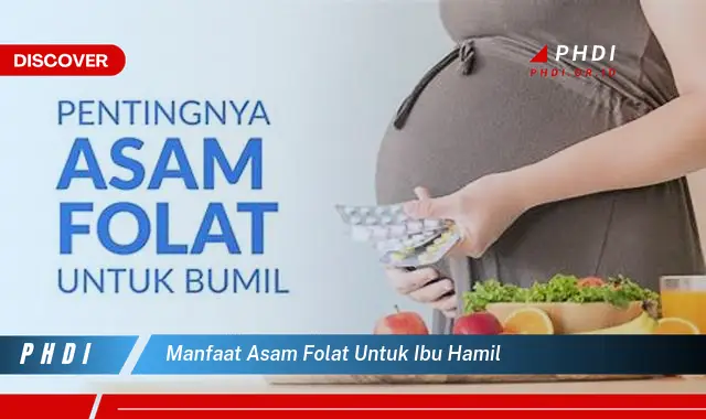 manfaat asam folat untuk ibu hamil