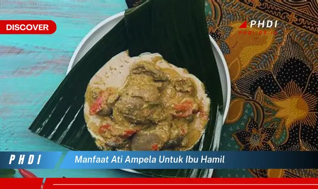 manfaat ati ampela untuk ibu hamil