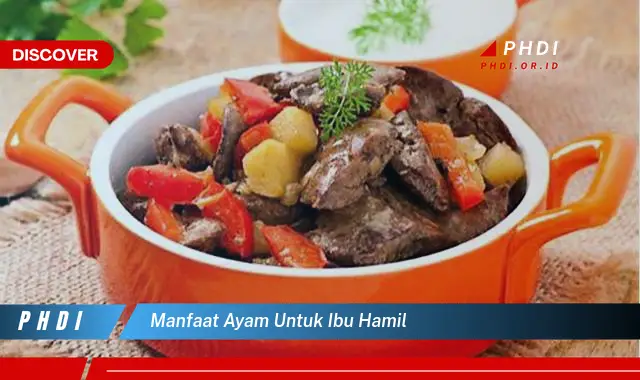 manfaat ayam untuk ibu hamil