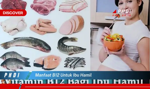 manfaat b12 untuk ibu hamil