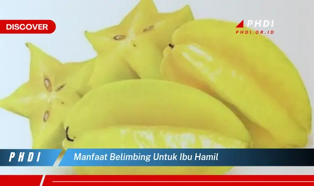 manfaat belimbing untuk ibu hamil