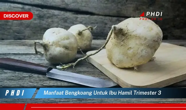 manfaat bengkoang untuk ibu hamil trimester 3